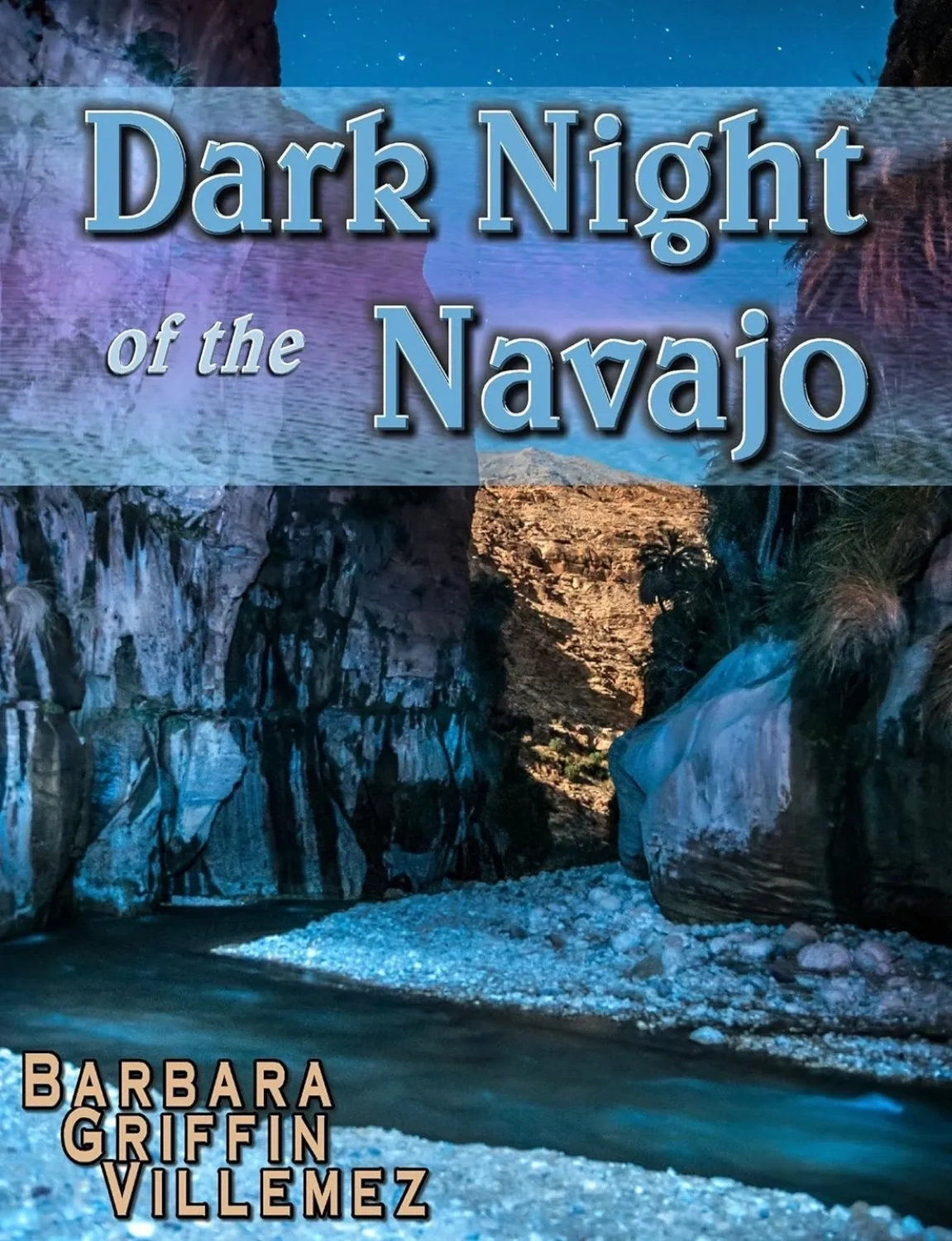 A picture of the cover for dark night of the navajo.